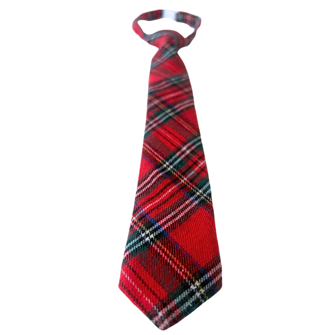 Classic Christmas Plaid Boys Pre-tied Tie (2024)